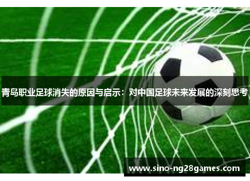 青岛职业足球消失的原因与启示：对中国足球未来发展的深刻思考