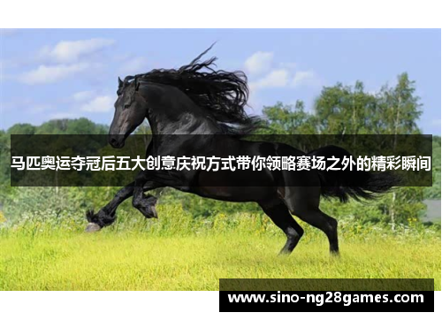 马匹奥运夺冠后五大创意庆祝方式带你领略赛场之外的精彩瞬间 马匹奥运夺冠后五大创意庆祝方式带你领略赛场之外的精彩瞬间