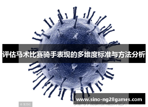 评估马术比赛骑手表现的多维度标准与方法分析
